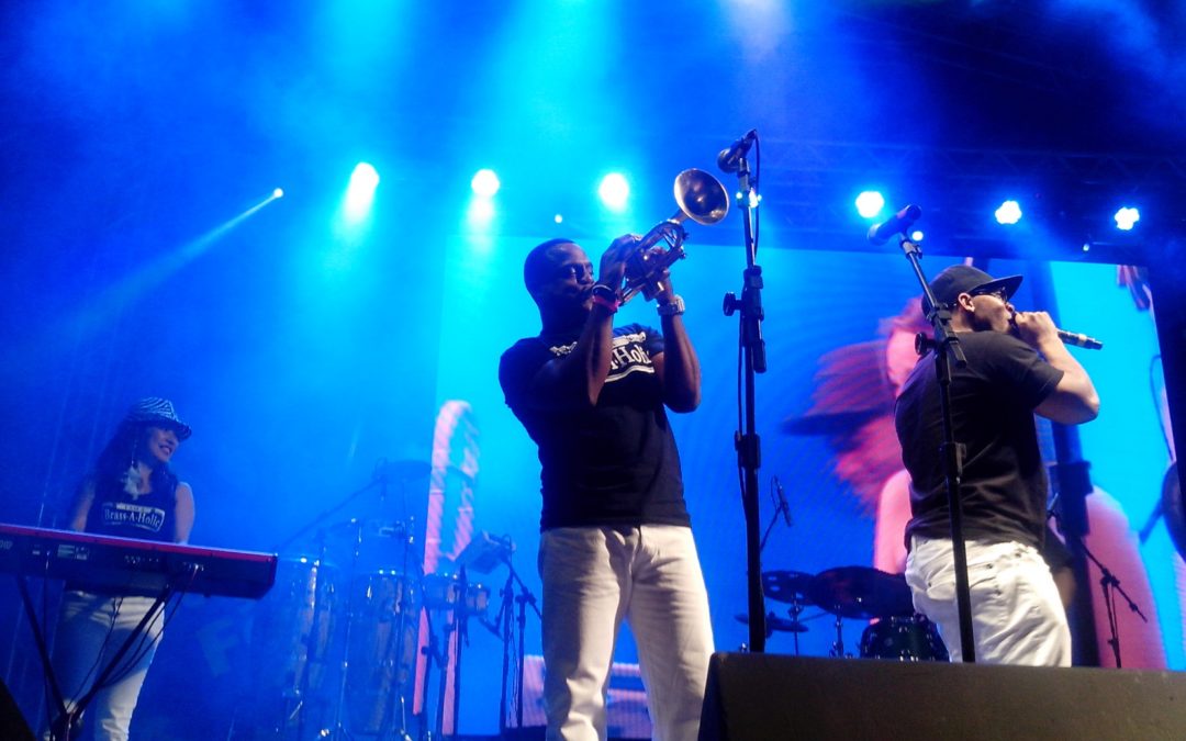 Show Case